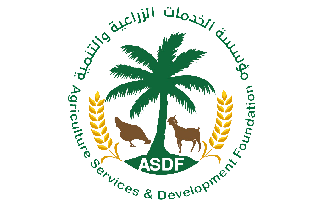 ASDF